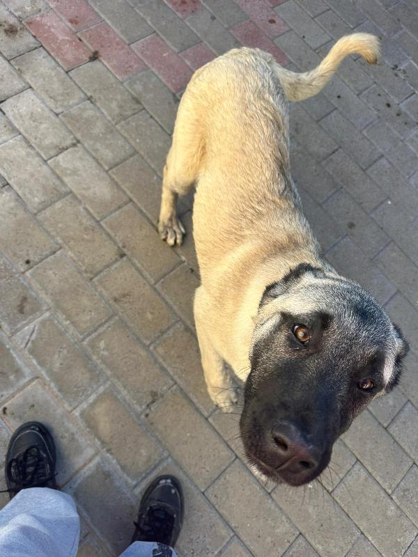 ATHENA E PATRA KANGAL Foto 5